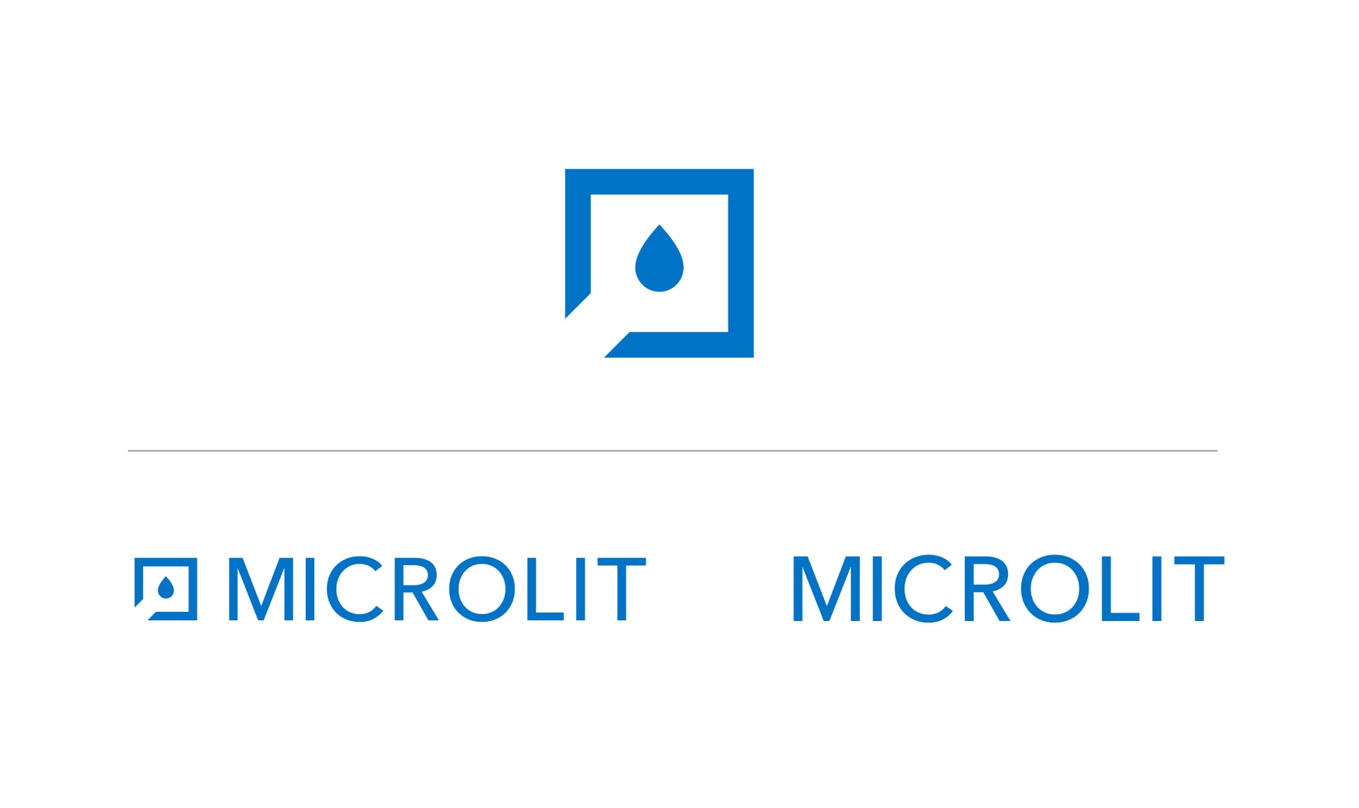 Microlit_Goal 3 - Gallery Desktop copy 11